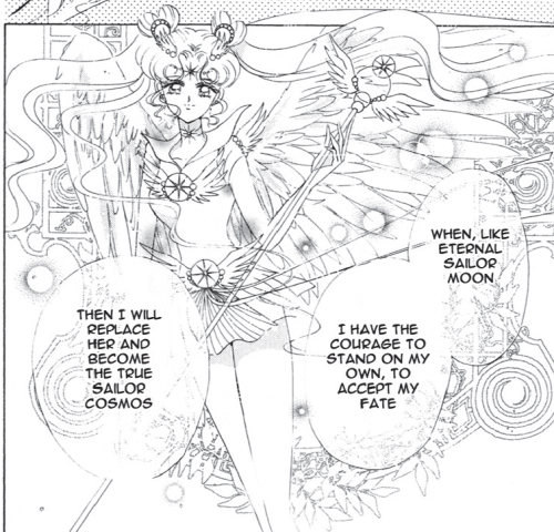 - Sailor Cosmos - Sailor Cosmos seems to be a very distant future form of Sailor Moon. An ambiguous 
