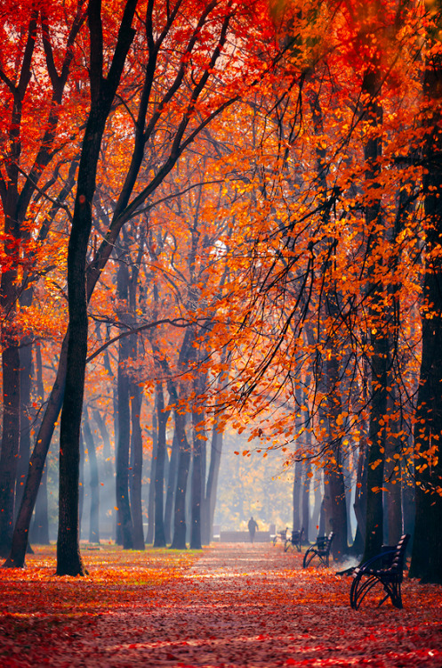 vurtual:  A passersby (by Roman Dmytrenko)