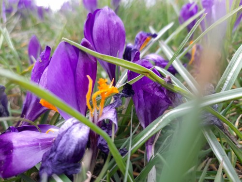 I HAVE INSTAGRAM NOW! Same Username, If You Enjoy My Photos Please Follow Me There.