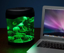 awesomeshityoucanbuy:  Desktop Jellyfish AquariumEscape the stress of everyday life by creating a relaxing environment with the desktop jellyfish aquarium. The gentle and graceful movements of these mystical creatures coupled with the soft glow from the