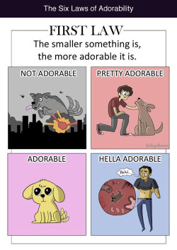 tastefullyoffensive:  The Six Laws of Adorability