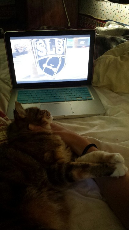Me n kitty watching some streetleague.com waiting on the finals, she loves me