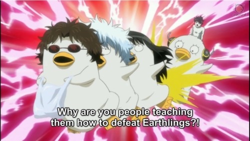 gintama bakabt gintama bakabt