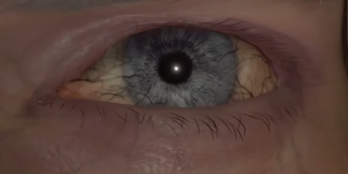 He Has Such Pretty Eyes, And I Love The Details
