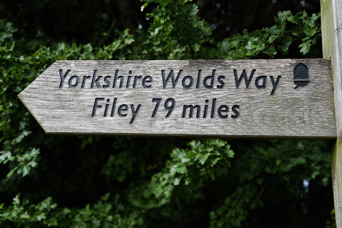 Day 1136 - sign marking the start of the Yorkshire Wolds Way National Trail at HessleOnly 79 miles l