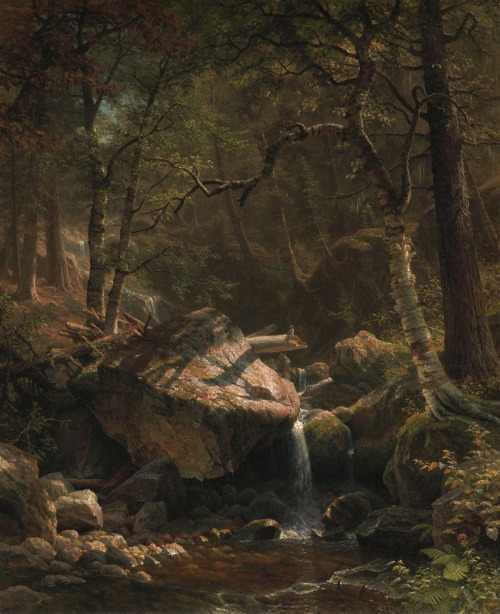 flyse: Mountain Brook, Albert Bierstadt (German-American, 1830–1902), 1863 Oil on canvas