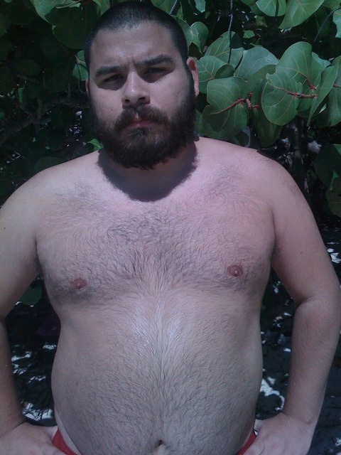 gulobear:  naughtyjustlikeyou:  indiecub   YUM