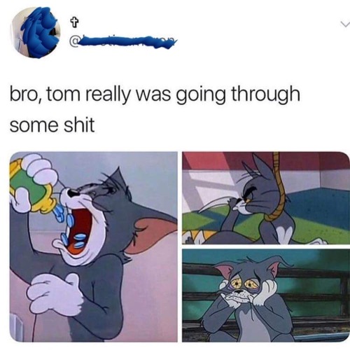 #catlivesmatter