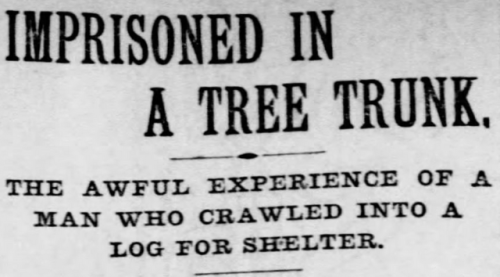 yesterdaysprint: St. Louis Post-Dispatch, Missouri, December 6, 1896