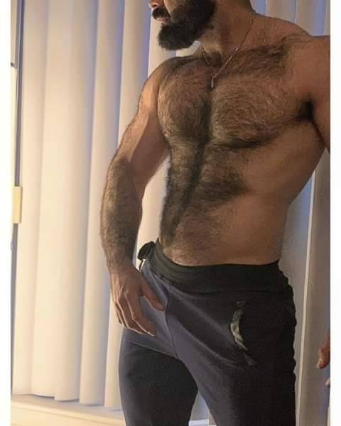 Hairy Hunky Men