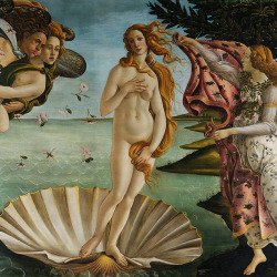 lonequixote:  The Birth of Venus (detail)