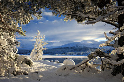 scotland-forever:  Loch Morlich and the Cairngorms