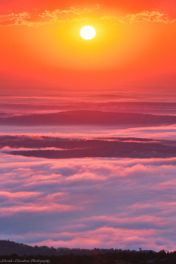 amargedom:  Park - Cadillac Mountain Sunrise