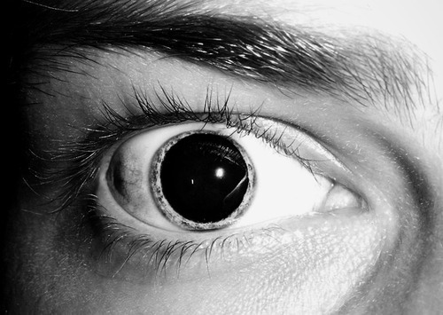 jellyjiggleboy:  bongloadsofmeth:  obeytheprophecy:  ▲ obey the prophecy ▲ the