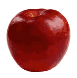 ♬ ♩⠀⠀⠀☆🍎⠀⠀⠀〜(⁠^⁠O⁠^⁠)