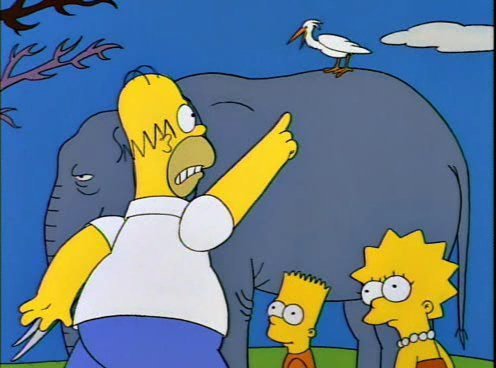 la-lossimpsons: ¡Ah, ese pájaro está matando a mi elefante!