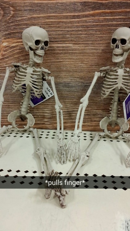19920109:  we got skeleton decorations in at my work 