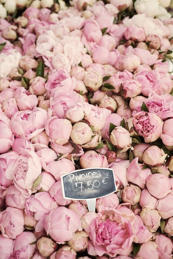 All Things Shabby and Beautiful