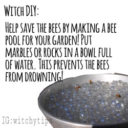 witchy-studies:   cannibalcarnage:  Help the bees by giving them a bee pool bath! It’s a simple way to help the bees get water throughout their busy day. ALL you need is a bowl or dish and rocks or marbles! It’s very simple! To make a bee pool all