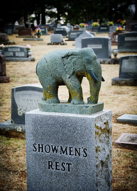 In Hugo, OK (Circus City USA) there is a cemetery that has a special section for