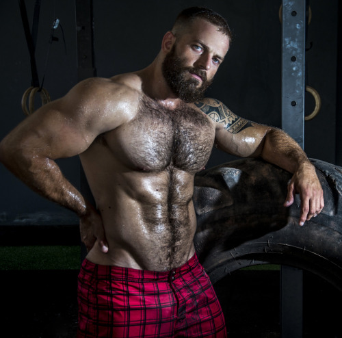myfavoritemusclemen:  http://myfavoritemusclemen.tumblr.com/archive 