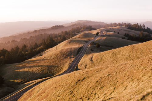 Post number 200.  It&rsquo;s fitting to post a set from one of my favorite spots, Tamalpais. 