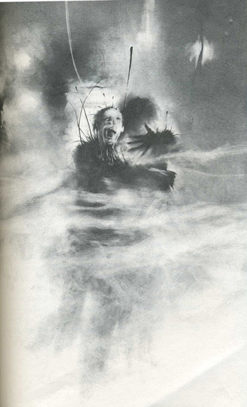 ubernoir:  Illustration from the book “Scary Story To Tell In The Dark” illustrator “ Stephen Gammell”