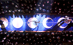 goldveia:Follow the spiders? Follow the spiders? If Hagrid ever gets out of Azkaban, I’ll kill him! 