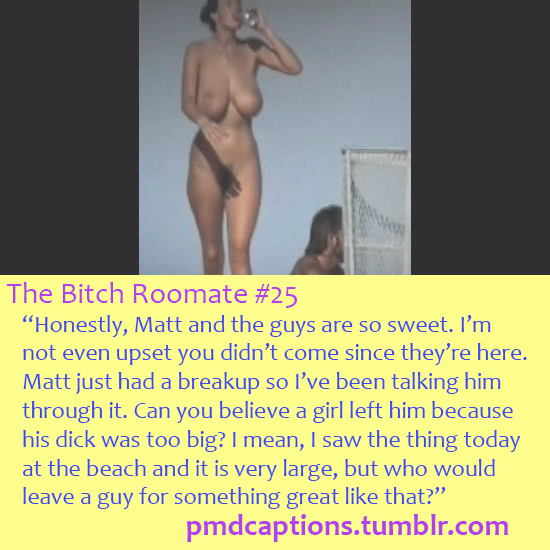   The Bitch RoomateÂ (3/5)