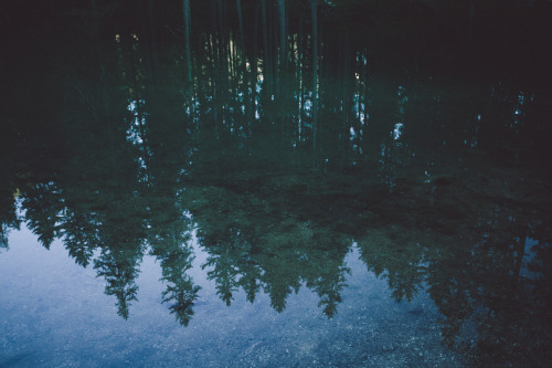 elenamorelli:{ afternoon on lake braies }Really beautiful.