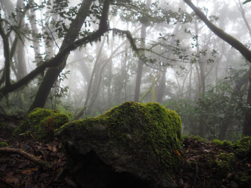 90377:La Gomera Wandern by Stefan Selle