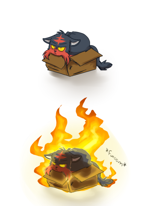 fuhai-does-the-art-thing:I honestly have no clue what I’m doing, but litten is cute