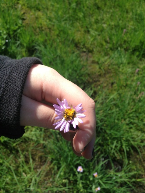 sadtulip:I miss the mountain so much ugh I can’t wait to move to seattle