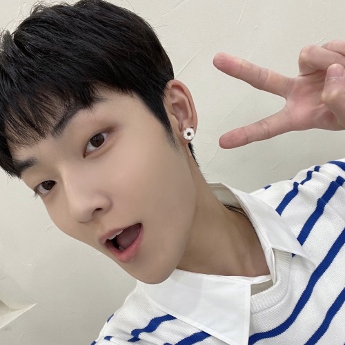 MON SELCA ICONS