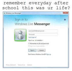 msn days 