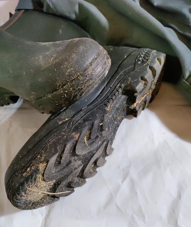 gumbootslover:Meine Aigle Stiefel nach dem ersten Einsatz im Stall :-)