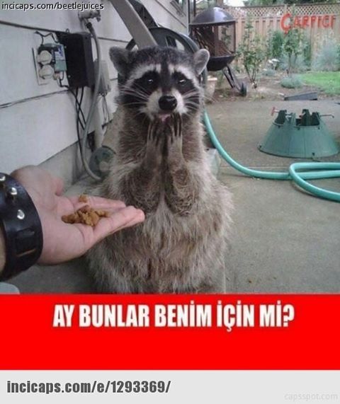 Ay bunlar benim için mi ?