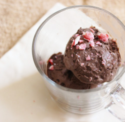 gastrogirl:  vegan chocolate peppermint ice