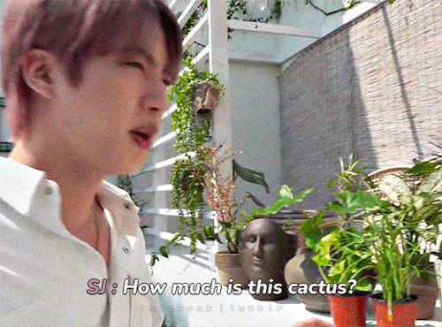 Confidence Level : Kim Seokjin