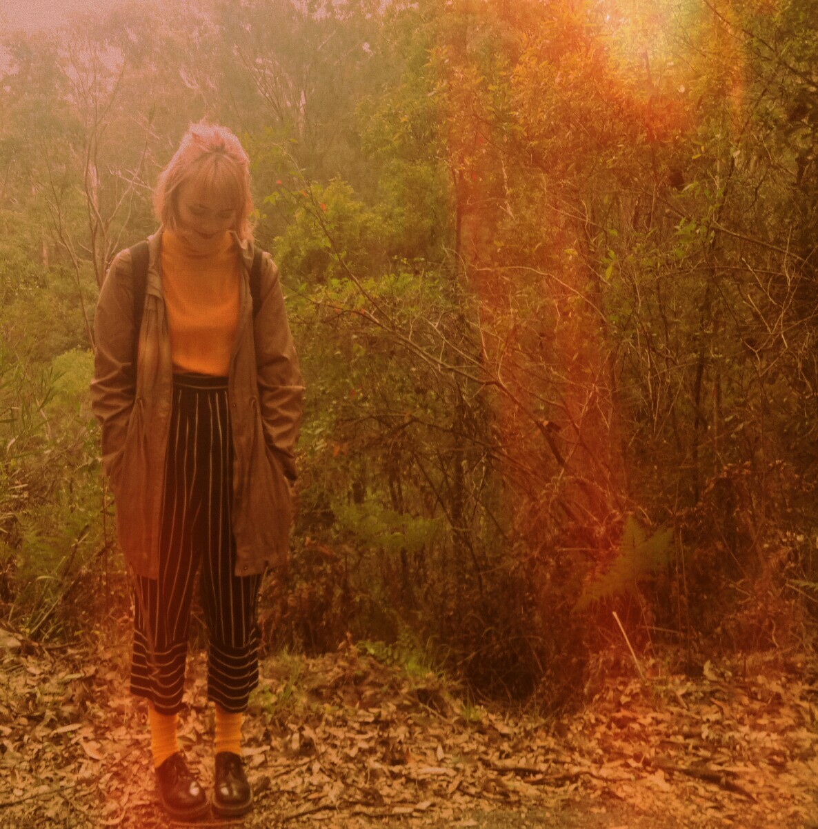 paleteahunny:  Bushwalks r cool
