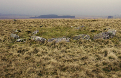 Oddendale Stone Circle, near Shap, Lake District, 14.1.17.I’ve visited this recumbent double s