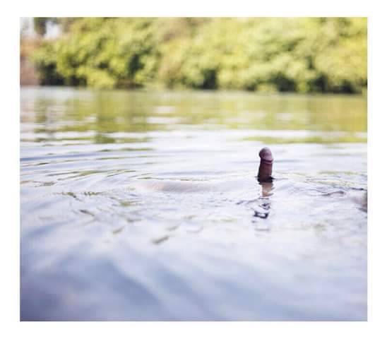 m3nform3n:OMG!!! Nessie! No… Dickie!!!
