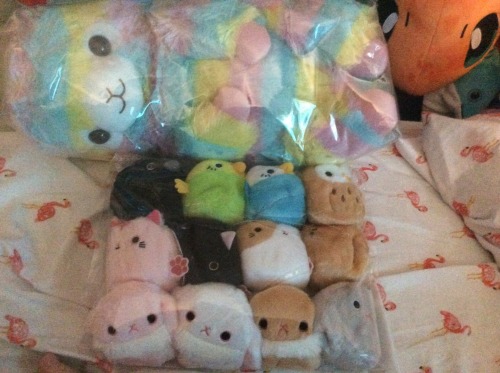 Been awhile since I ordered from Otaku Mode! Went for the Rainbow Alpacasso backpack and a bunch of 