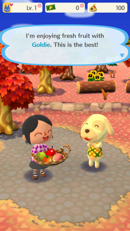 doctornsara:Of course I am making friends with all the dogs.But I need more friends on animal crossing pocket camp! Add me!My code is:26186890267 That me.Add me on Animal Crossing Pocket Camp!