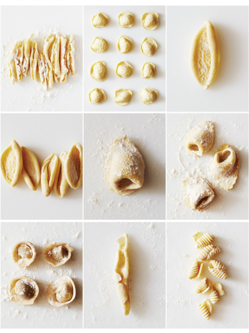 cavatelli lunghi. orecchiette. cavatelli. tortellone. cappelletti. gnocchetti. 