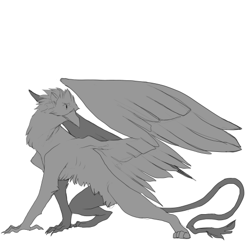 Hey Guys Look At All These Gryphs I Drew