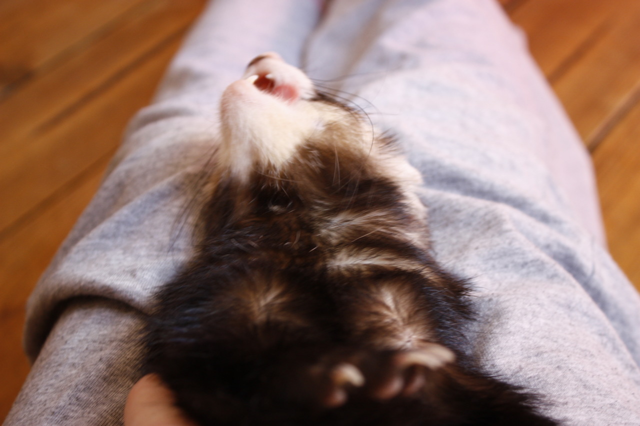 lelieuquinexistepas:  Un an de love &lt;3