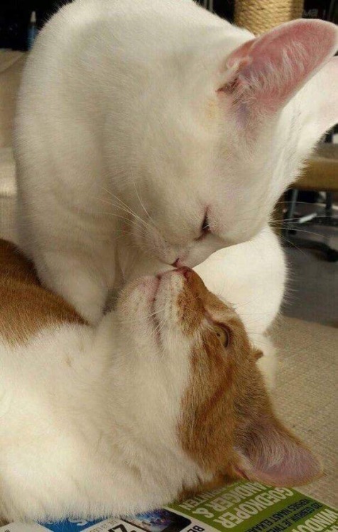 ぢっと手を見る