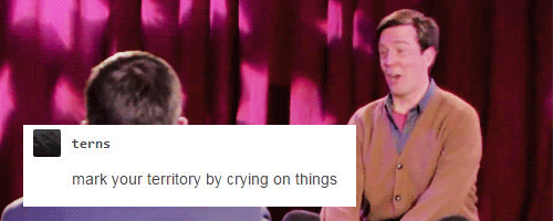 katesrick:the office + tumblr text posts [1/?]