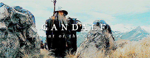 lotrlorien:  The Fellowship of the Ring 